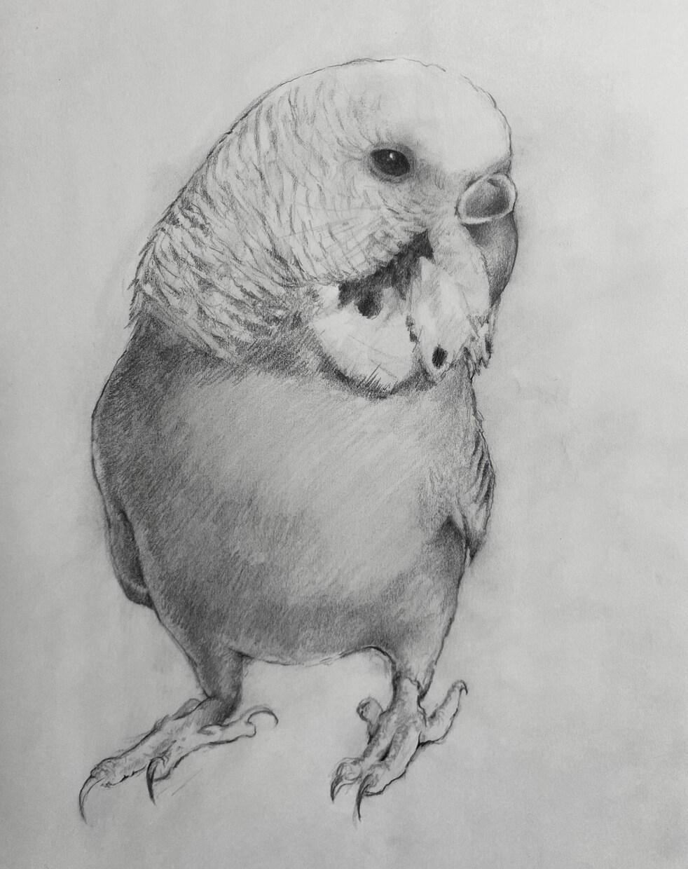 鉛筆画を描きます あなたの日常を絵にして記録してみませんか イメージ4