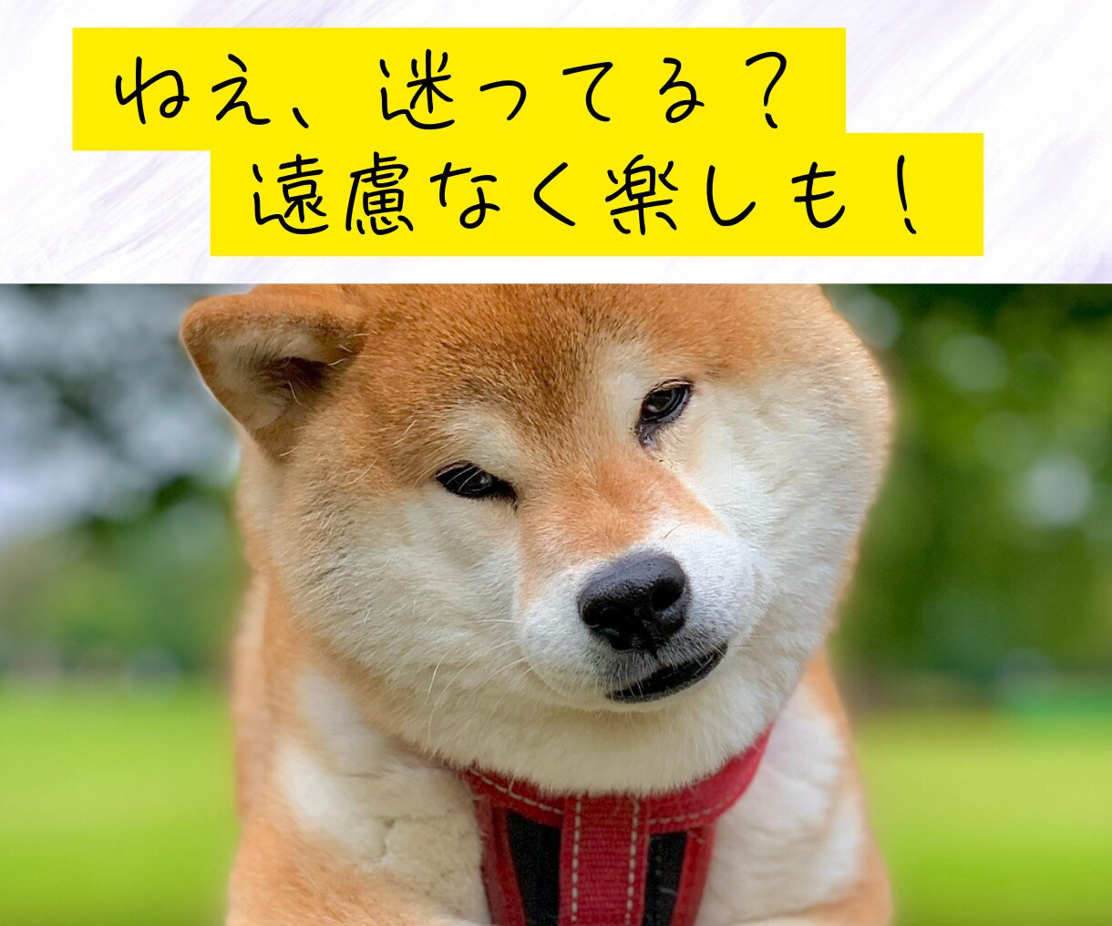 推し活バナシ、聞きます 突然、推し活に目覚めた！この気持ちを分かち合いたい イメージ2