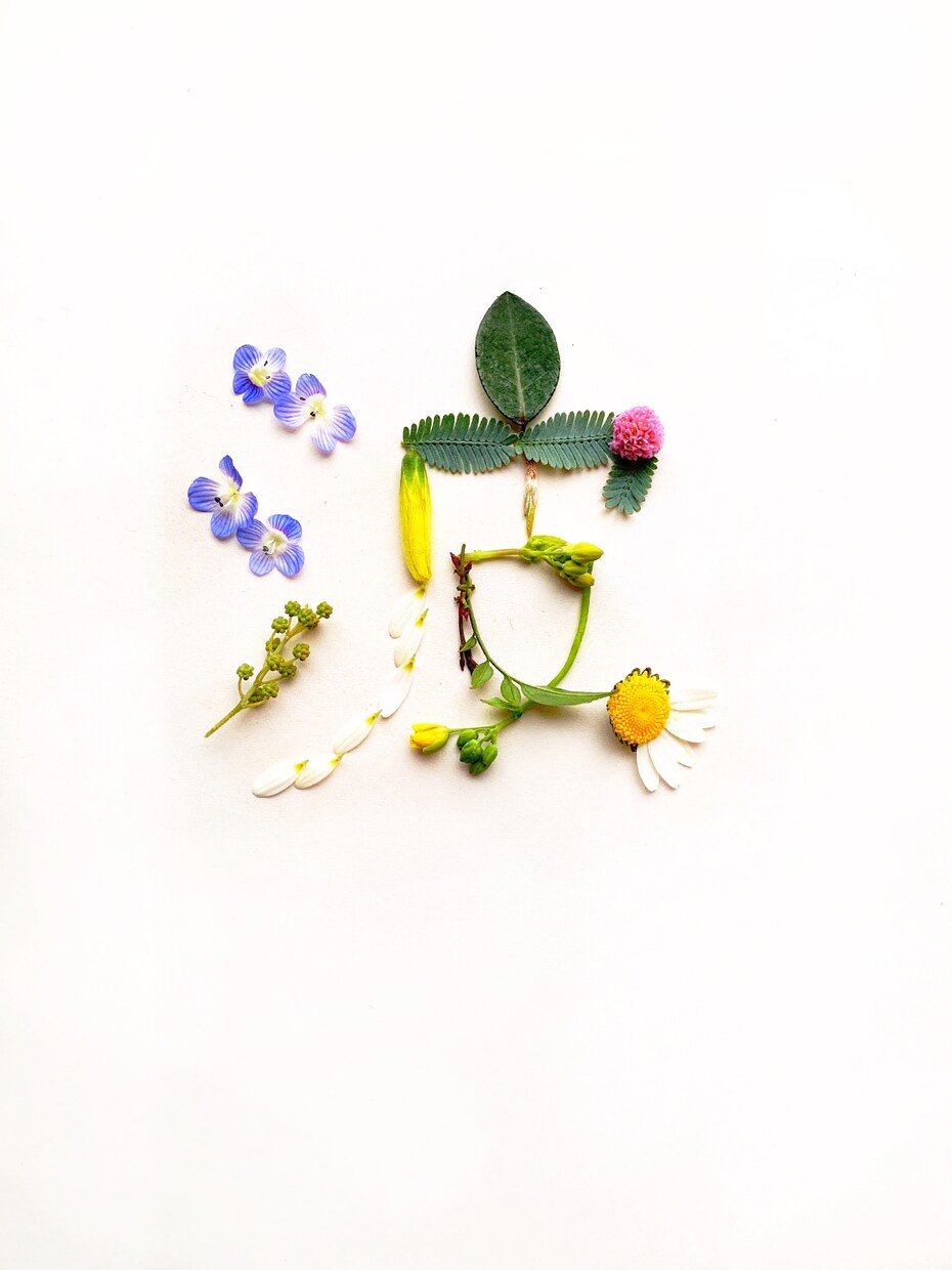 植物の表情を生かしてもじもじします 植物の形を愉快にお楽しみ頂けます。 イメージ3