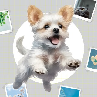Insta画像やサムネイル・バナーを制作します 優しさ伝わる、女性向けデザインSNS・バナー・サムネも対応可 イメージ3