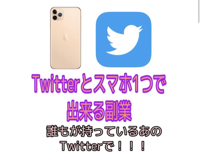 Twitterで稼ぐ副業の仕方教えます フォロワー0でも大丈夫！作業時間10分 イメージ1