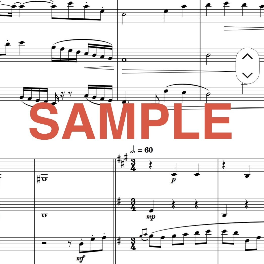 ご希望の編成に合わせて高品質な楽譜を編曲します 現役奏者が制作。小編成から大編成まで、用途に合わせた楽譜を。 イメージ4