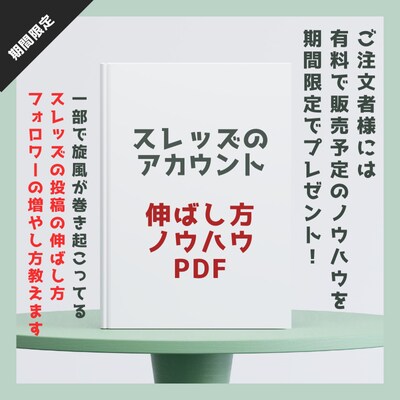 Threadsスレッズの日本人フォロワー増やします 【期間限定】スレッズを伸ばすノウハウPDFプレゼント中 イメージ2