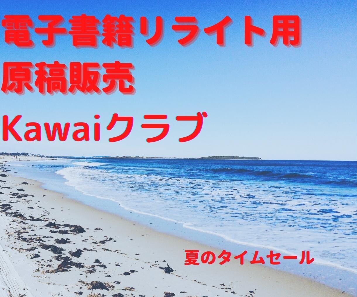 電子書籍原稿用リライト記事販売します 1万字～出版に使える原稿を提供します イメージ3