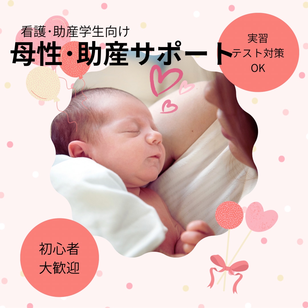 現役助産師が実習・テストの不安を解消します 助産学生・看護学生向けに一緒に母性･助産実習やテスト対策！ イメージ1