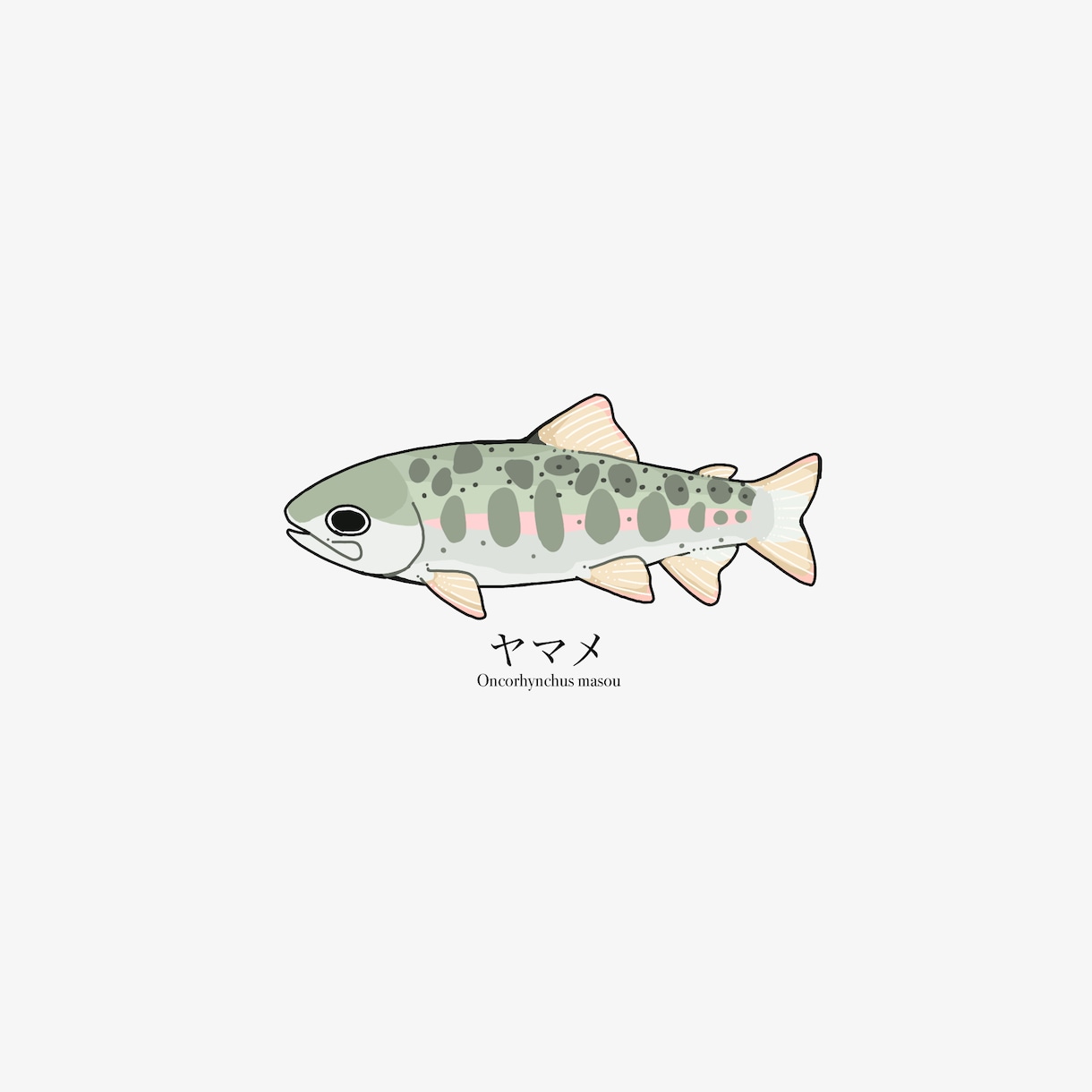 魚のイラストを作成します 魚好きがあなただけのお魚イラストを描きます イメージ1