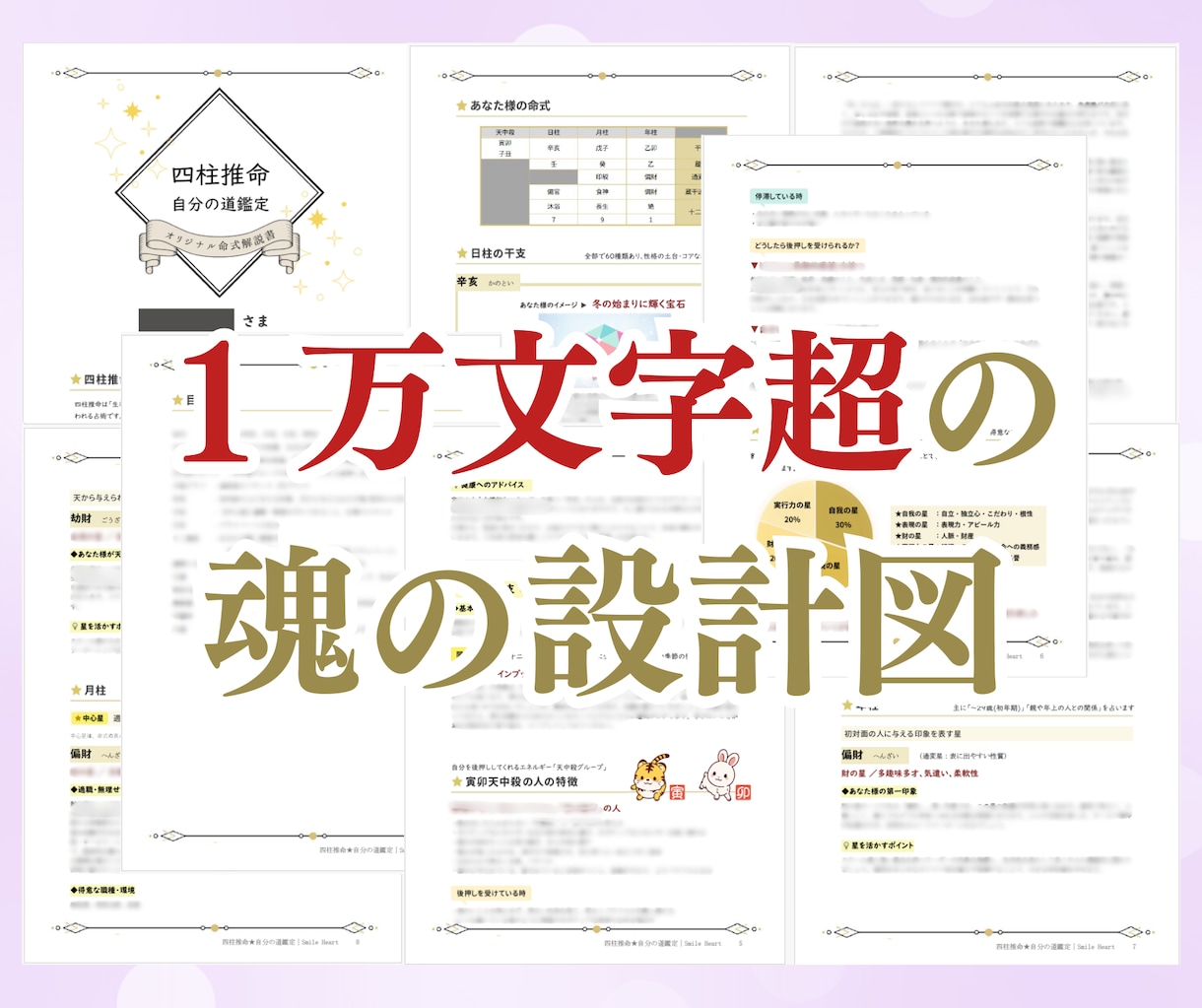 あと１名様｜あなたの「魂の取扱説明書」を作成します 10,000文字超｜四柱推命で読み解く「人生の設計図」 イメージ2