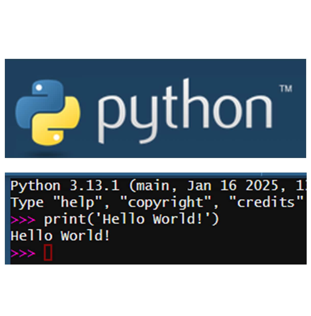 Pythonプログラミングの第一歩をお手伝いします インストールからHello World!までビデオチャットで イメージ2