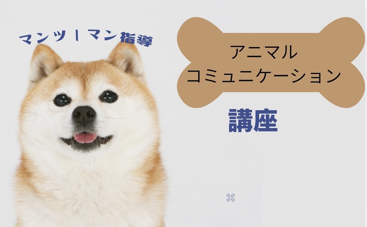 アニコミ講座のマンツーマン指導致します アニコミ講座ご購入の方へのマンツーマン指導 イメージ1