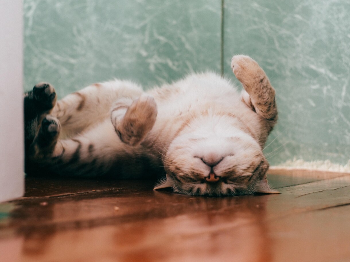 これって変じゃない？　不満や違和感に寄り添います 納得できない、飲み込めない想いを抱えたあなたへ イメージ5