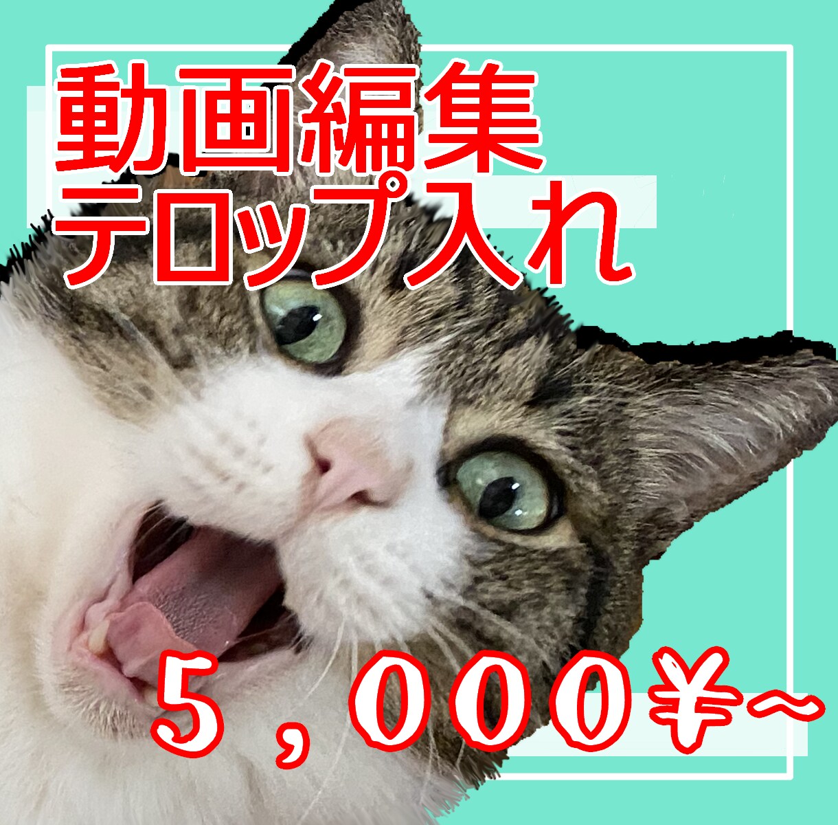 動画編集/テロップ（字幕）お入れします テロップで動画を華やかにしてみませんか？ イメージ1