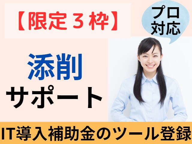 限定３枠∥IT導入補助金ツール登録を【添削】します 中小企業診断士対応／事務局の専門家経験あり／支援実績多数 イメージ1