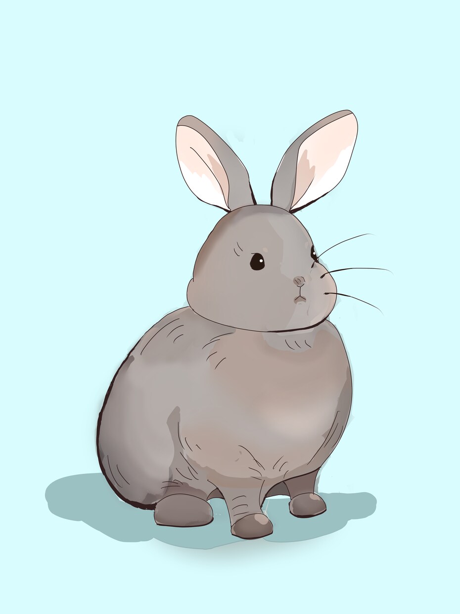 主にペットや相談可で他の動物も描きます ふわっとした可愛い動物絵を描きます。 イメージ2