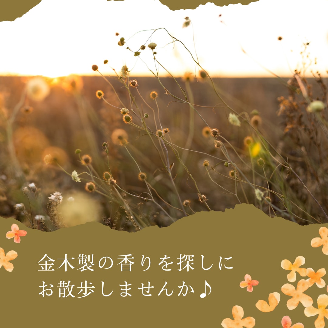 カードリーディングであなたのお悩みを鑑定します モヤモヤした気持ち、一緒に整理しませんか？【女性専用】 イメージ2