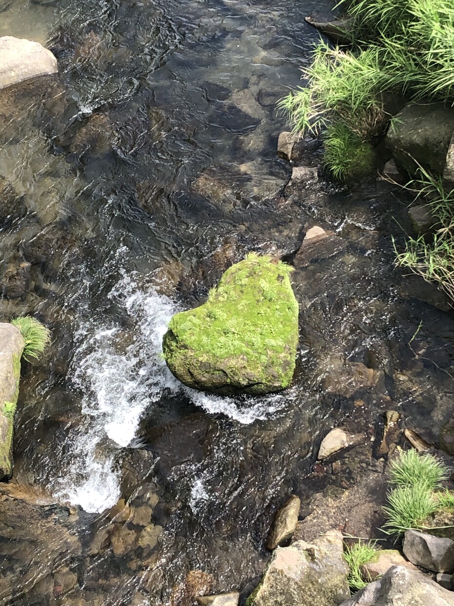 男性限定❤️隠れ家、秘密基地で待ってます 子供の頃の秘密の場所❤️私も一緒に共有させて！ イメージ6