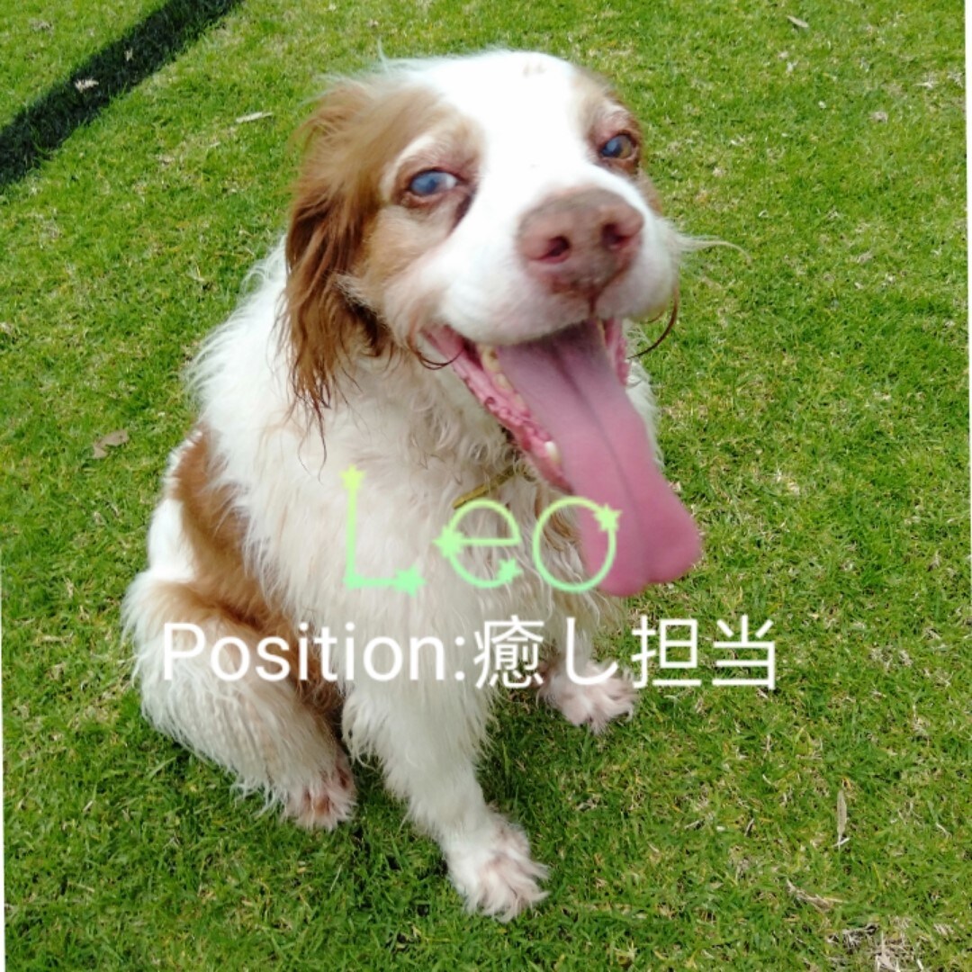 子育て／幼児教育についてや先生方のお悩みに答えます プロの意見を聞いて問題解決！個性を伸ばす教育のお手伝い！ イメージ6