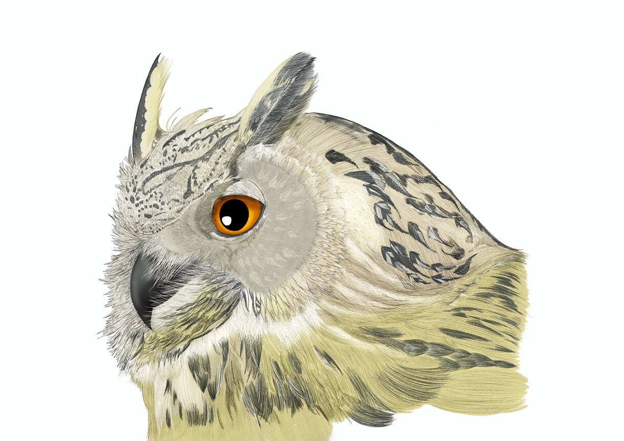 リアルで可愛い生き物イラスト描きます 下書きまで無料⭐︎イメージにご納得いただいてから購入できます イメージ6