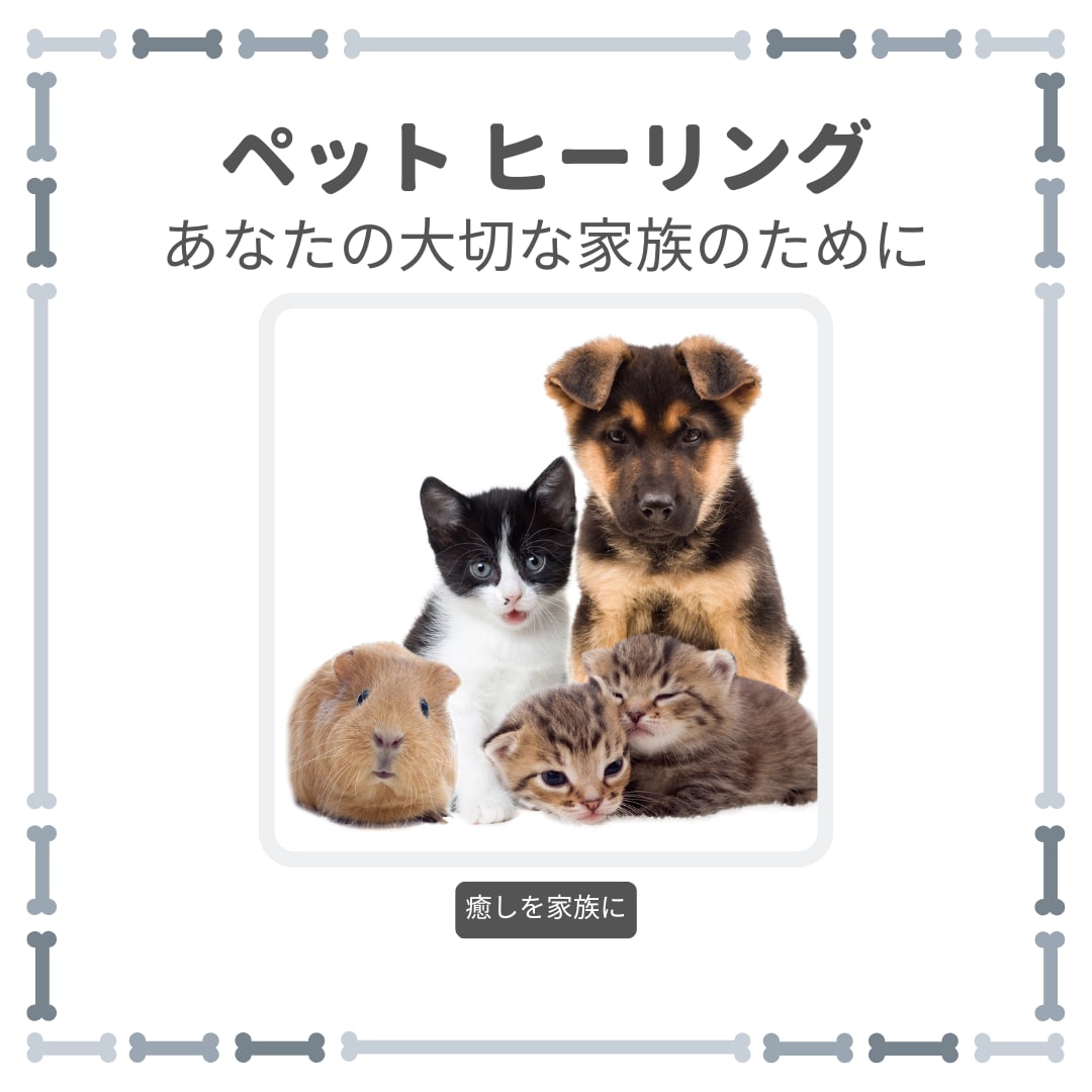 ペットへ愛と癒しのエネルギーヒーリングを送ります 遠隔でエネルギーヒーリングを送ります。 イメージ1