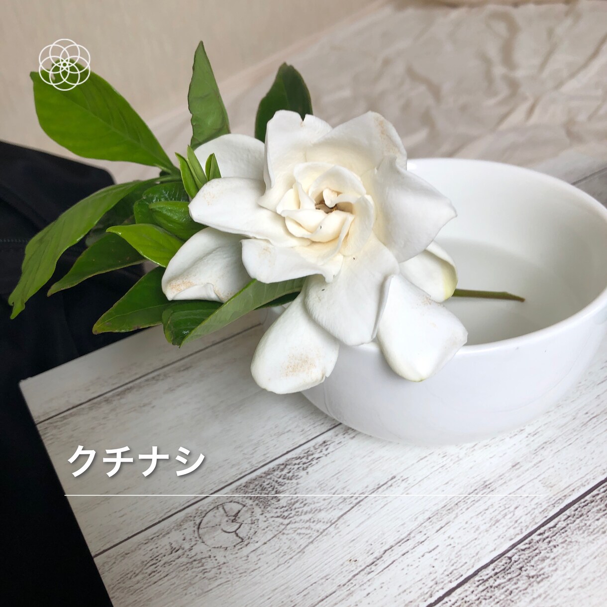占います 笑うに笑えない心に刺さった小さなトゲ抜くのをお手伝い イメージ1