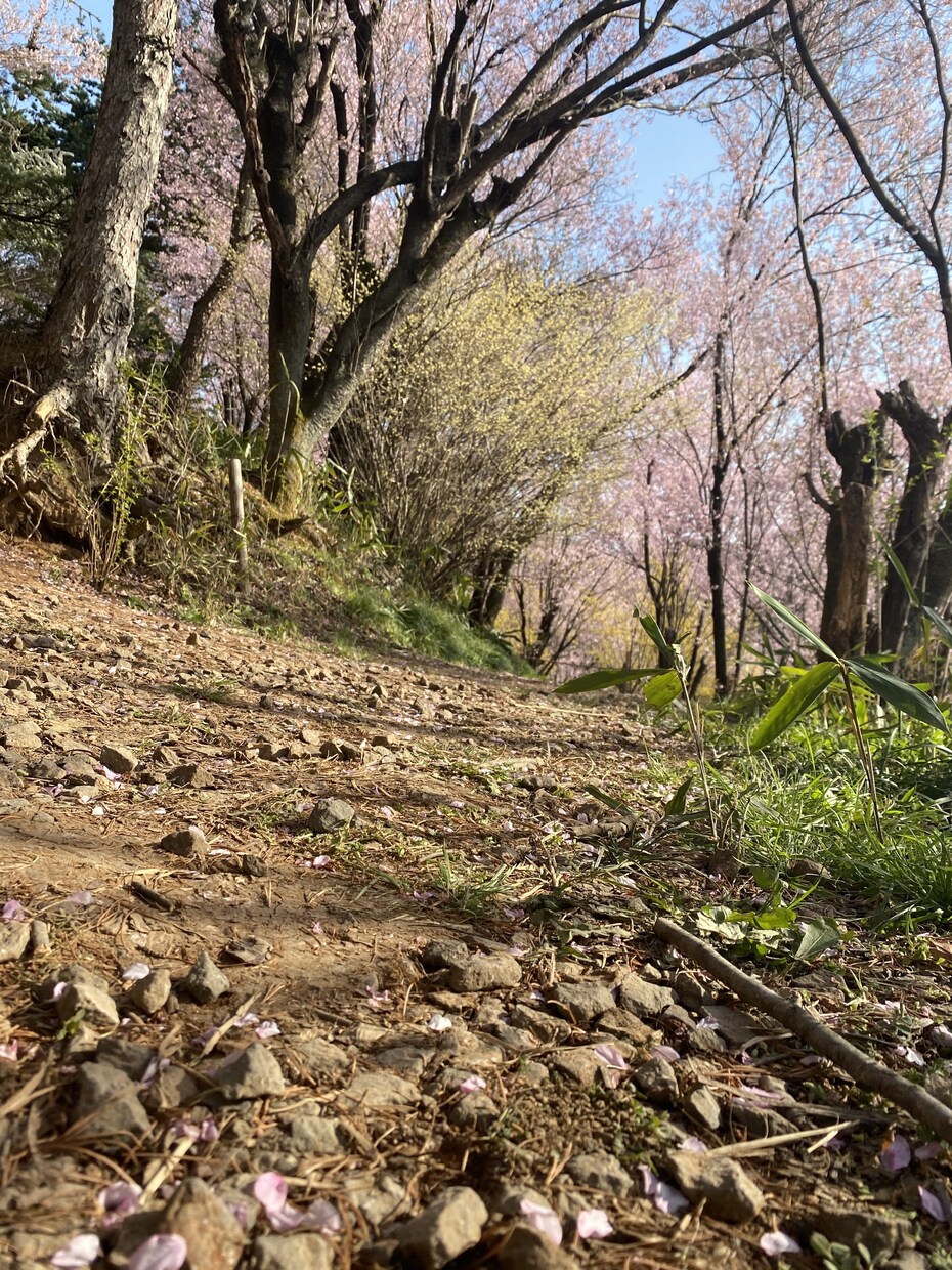 人間関係、恋愛、愚痴など相談に乗ります！！ます 誰でも相談に乗ります☺️気軽にどうぞ〜！ イメージ1