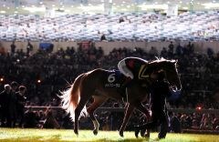 競馬初心者の方！競馬の基本をお教えします 競馬初心者の方に教えられるものを全てお教えします。 イメージ1