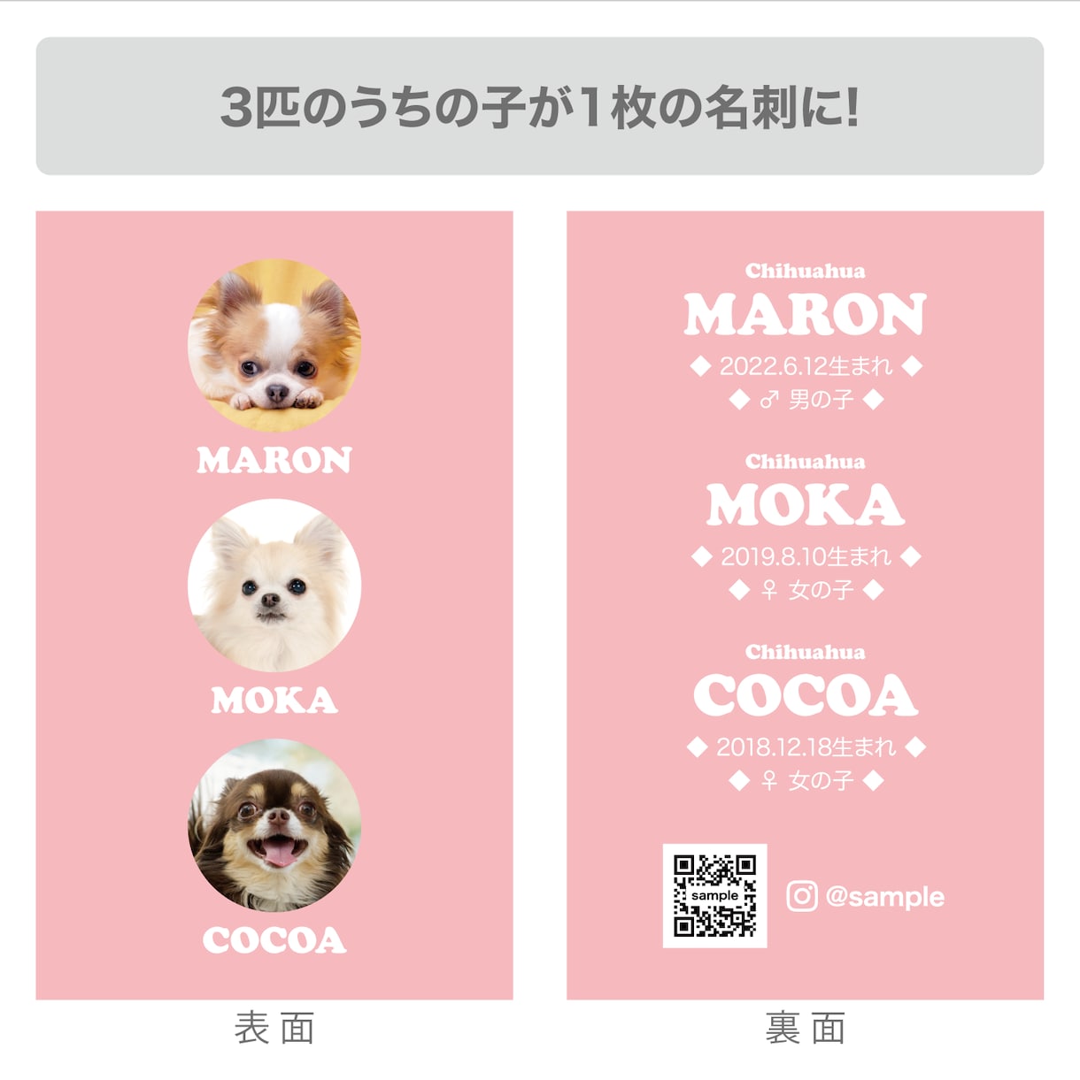 3匹用　シンプルデザイン　うちの子名刺お作りします 【両面印刷100枚】送料無料　セミオーダー　QRコード入り イメージ2