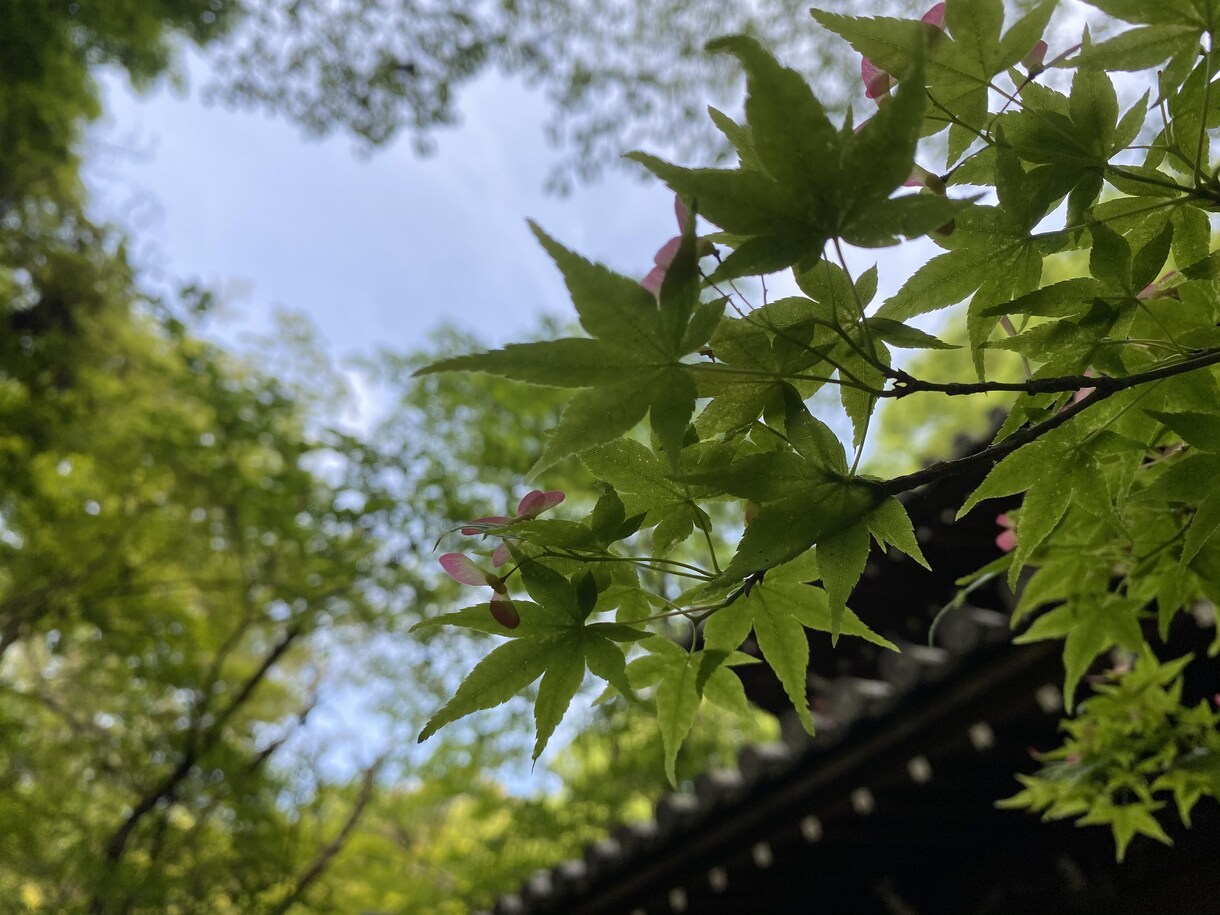 京都旅行のプランを考えます 京都旅行のオリジナルプランを考えます！ イメージ3