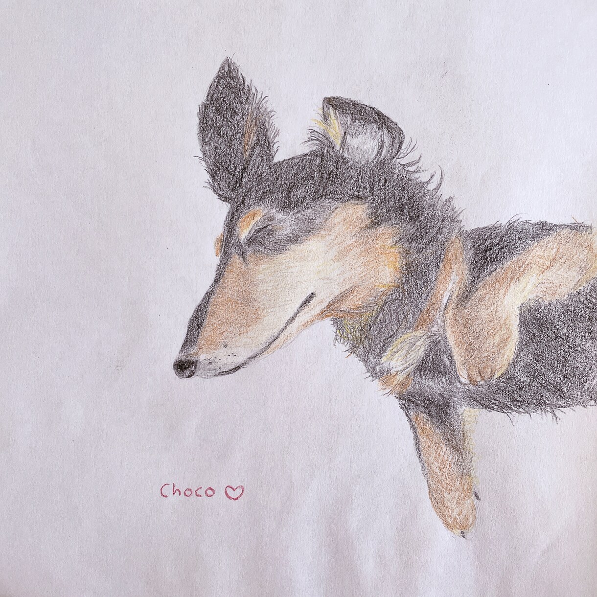 手描きイラストカードを描きます あなたの大切な人へ想いを伝えるお手伝いをします♪ イメージ3