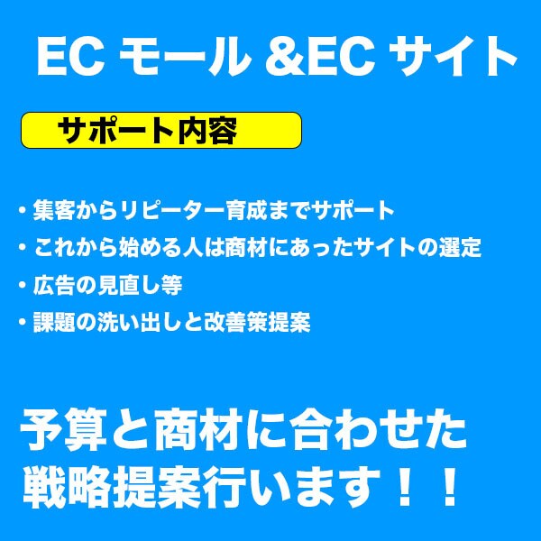 ECモール・ECサイトで「売れる戦略」提案します 集客・リピーター育成等、予算と商材に応じて戦略をご提案します イメージ1