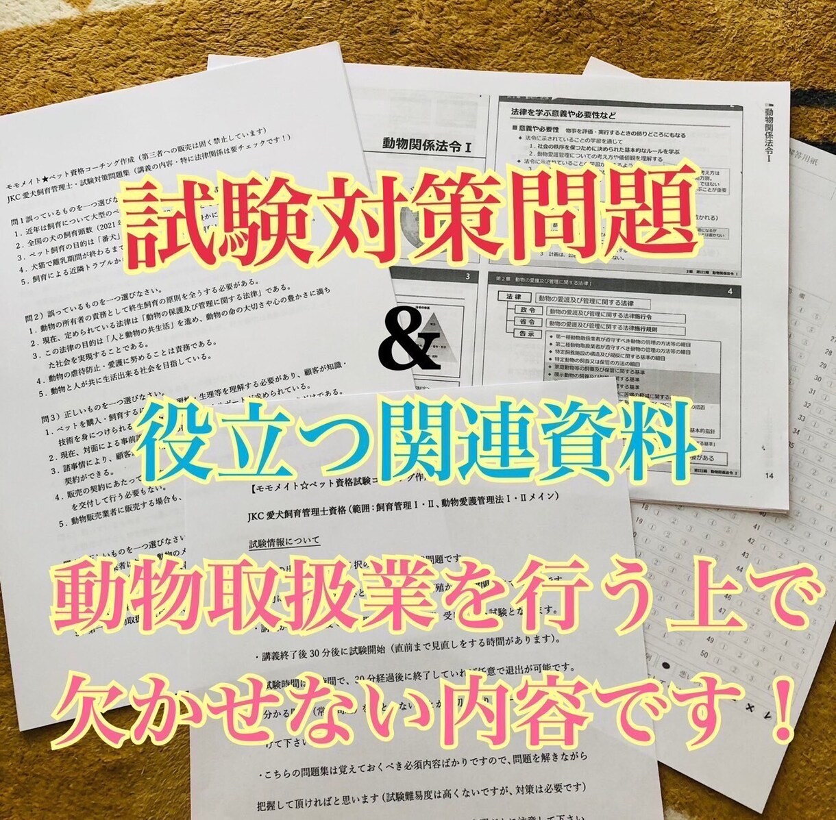 愛犬飼育管理士の試験対策まとめ&問題集を提供します 【過去問〜今後の法律改正まで】 イメージ3