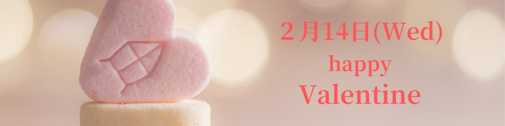 Valentineのバナーになります シンプルなValentineバナーになります。 イメージ1
