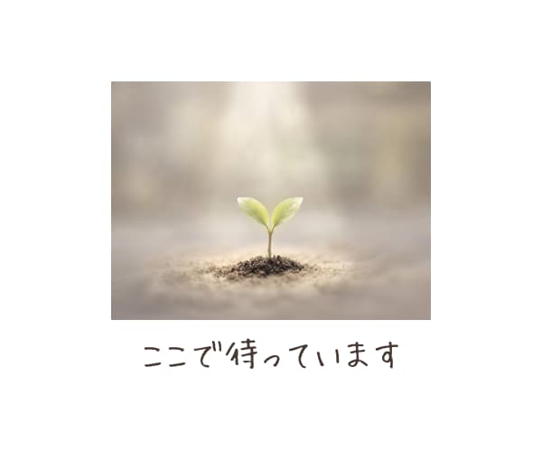 積み重ねてきた想い、丁寧に言語化します 【心理相談室】共感だけでは終わらない《核心》に触れる対話 イメージ10