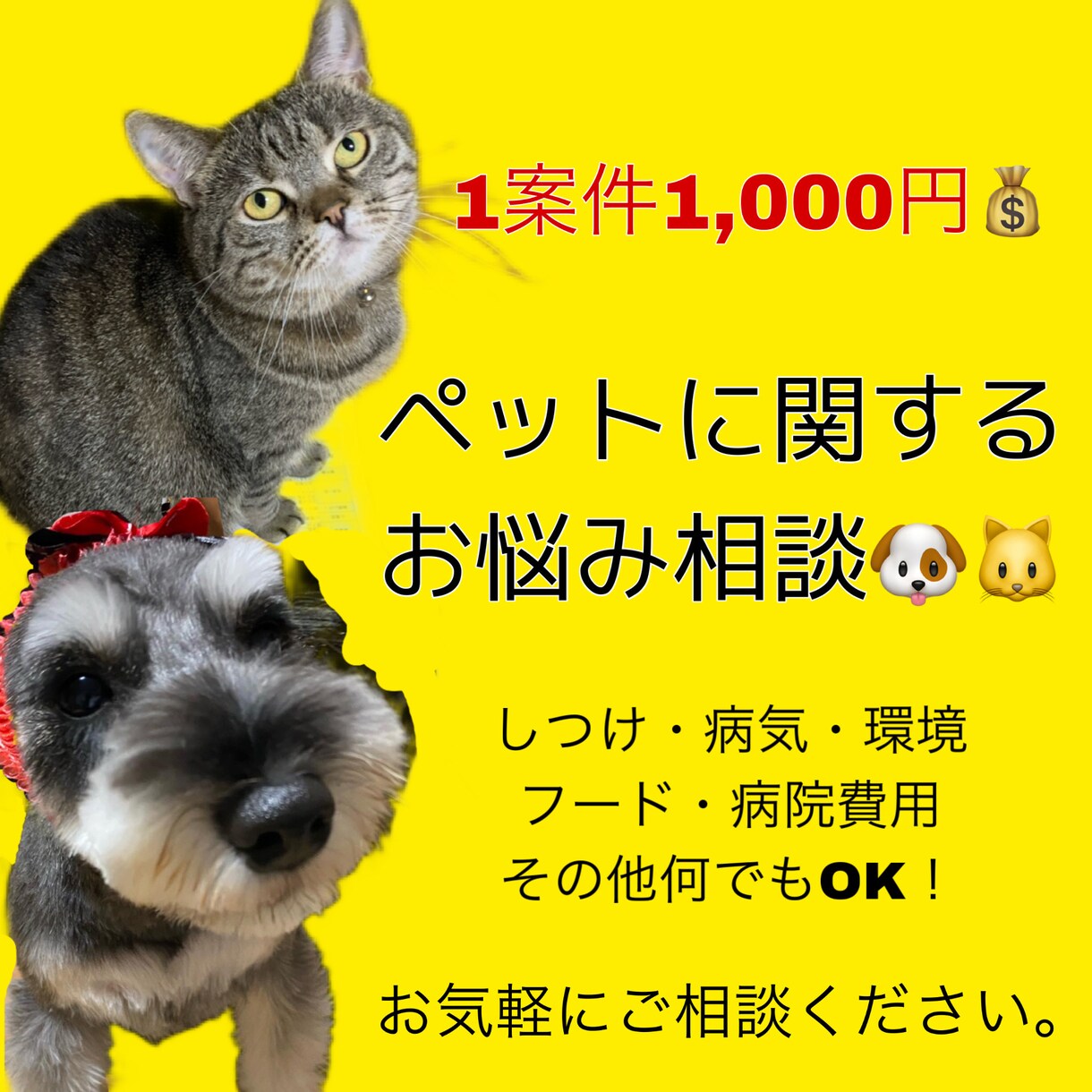 ペットに関するご相談承ります 動物に関する相談等、お悩み事に対しての解決策をお手伝いします イメージ1