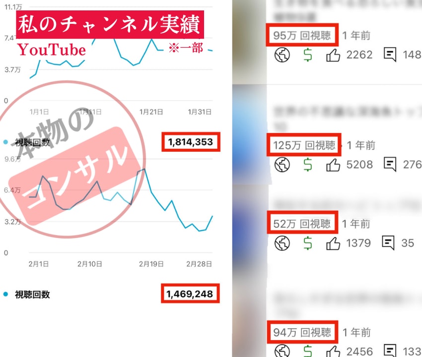 YouTube運営のご質問・ご相談5つお答えします ※こちらはリピーター様専用の出品ページとなります イメージ3