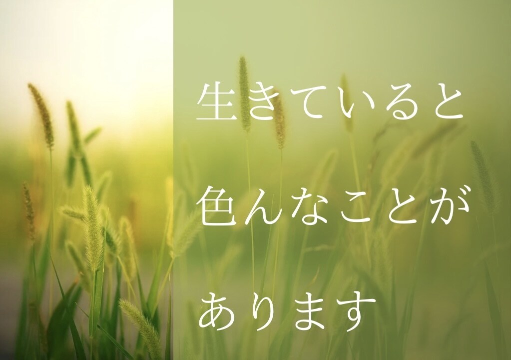人生相談＊自分の人生このままでいいのか？占います ★霊聴タロット★人生★恋愛★仕事★高次元の存在★ イメージ3
