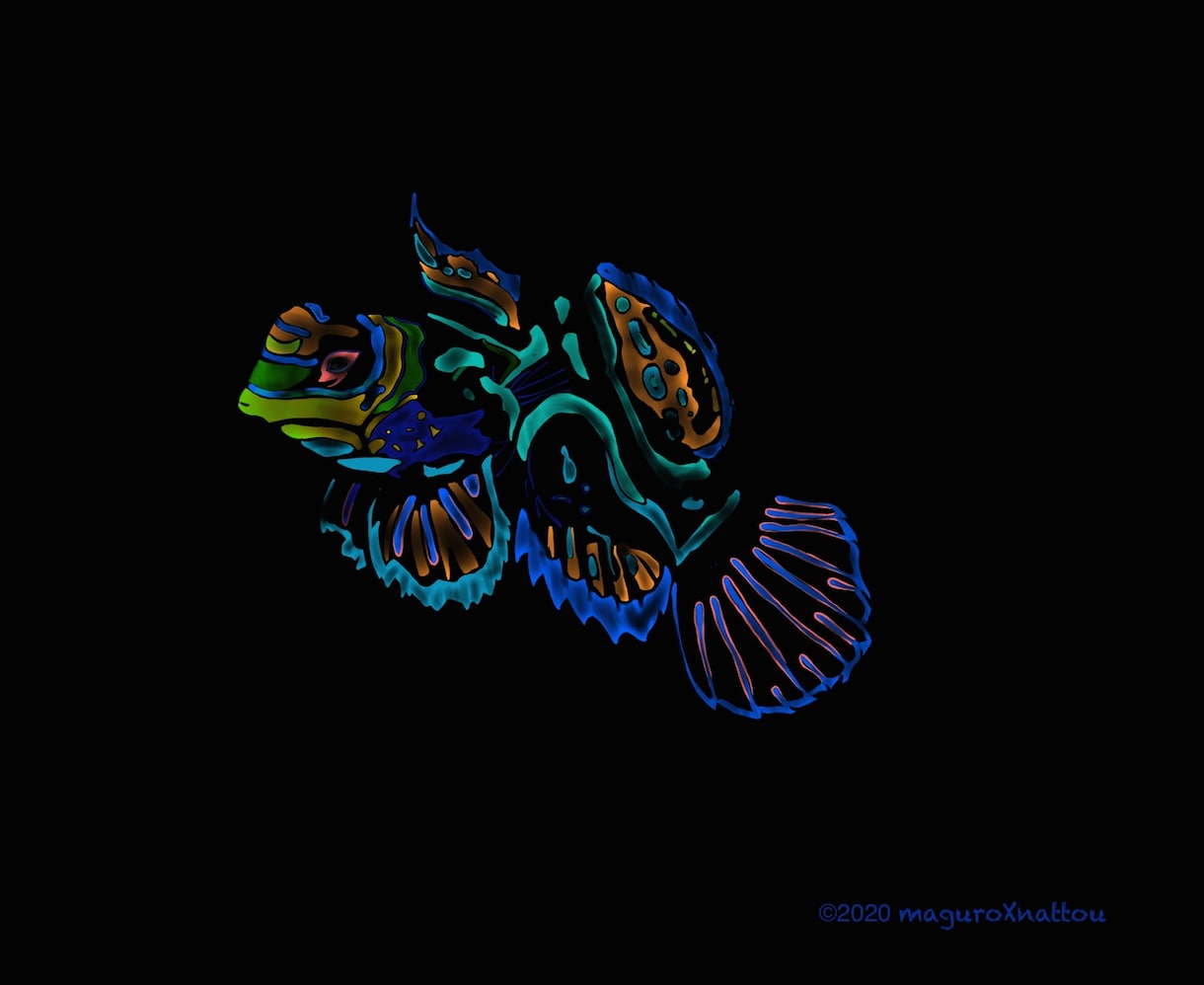 熱帯魚などの海の生き物のデザインをします ネオン風デザインのおしゃれイラストを提供 イメージ1