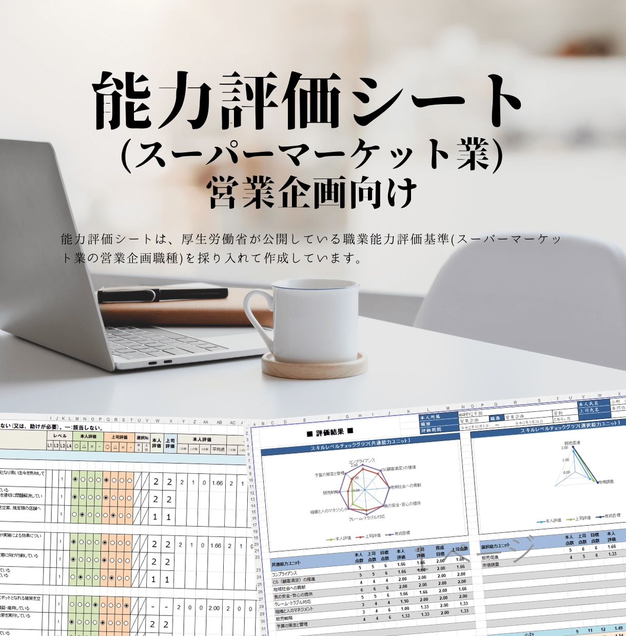 能力評価シート(スーパー、営業企画)を販売します 厚生労働省の「職業能力評価基準」を採れ入れています。 イメージ1