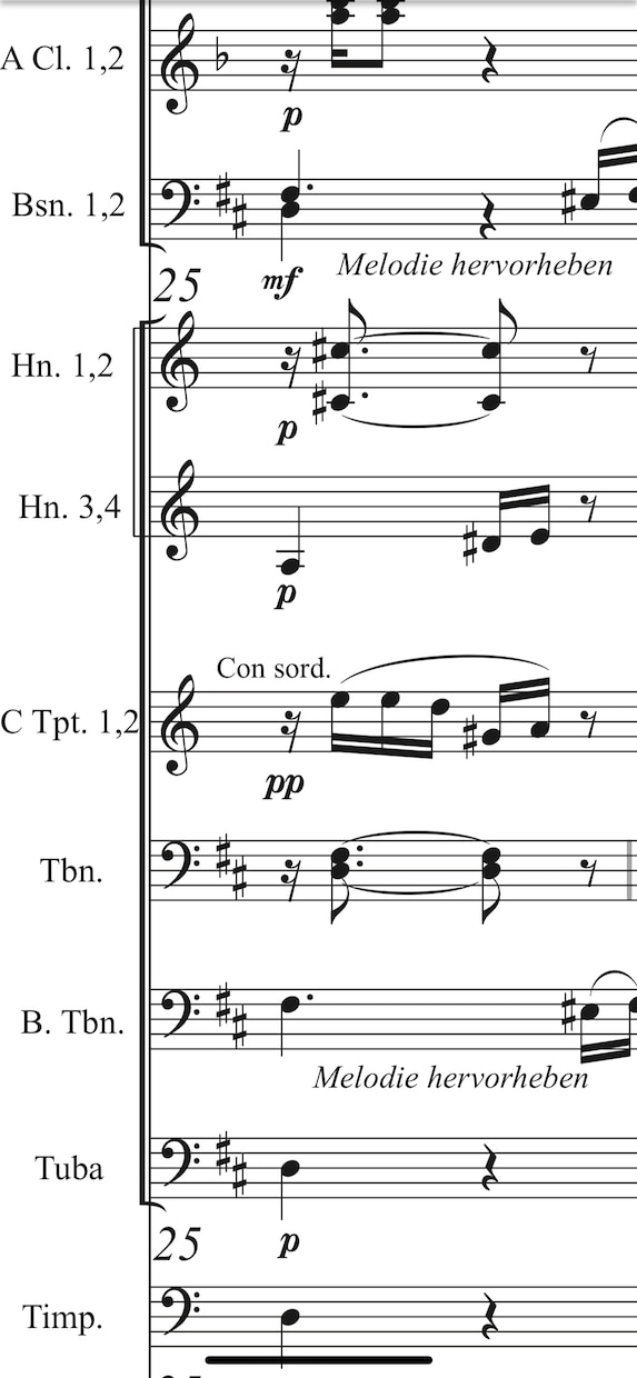 浄書ソフトで手書きの楽譜を清書致します 作曲科在籍・実績多数・丁寧に対応致します。 イメージ1