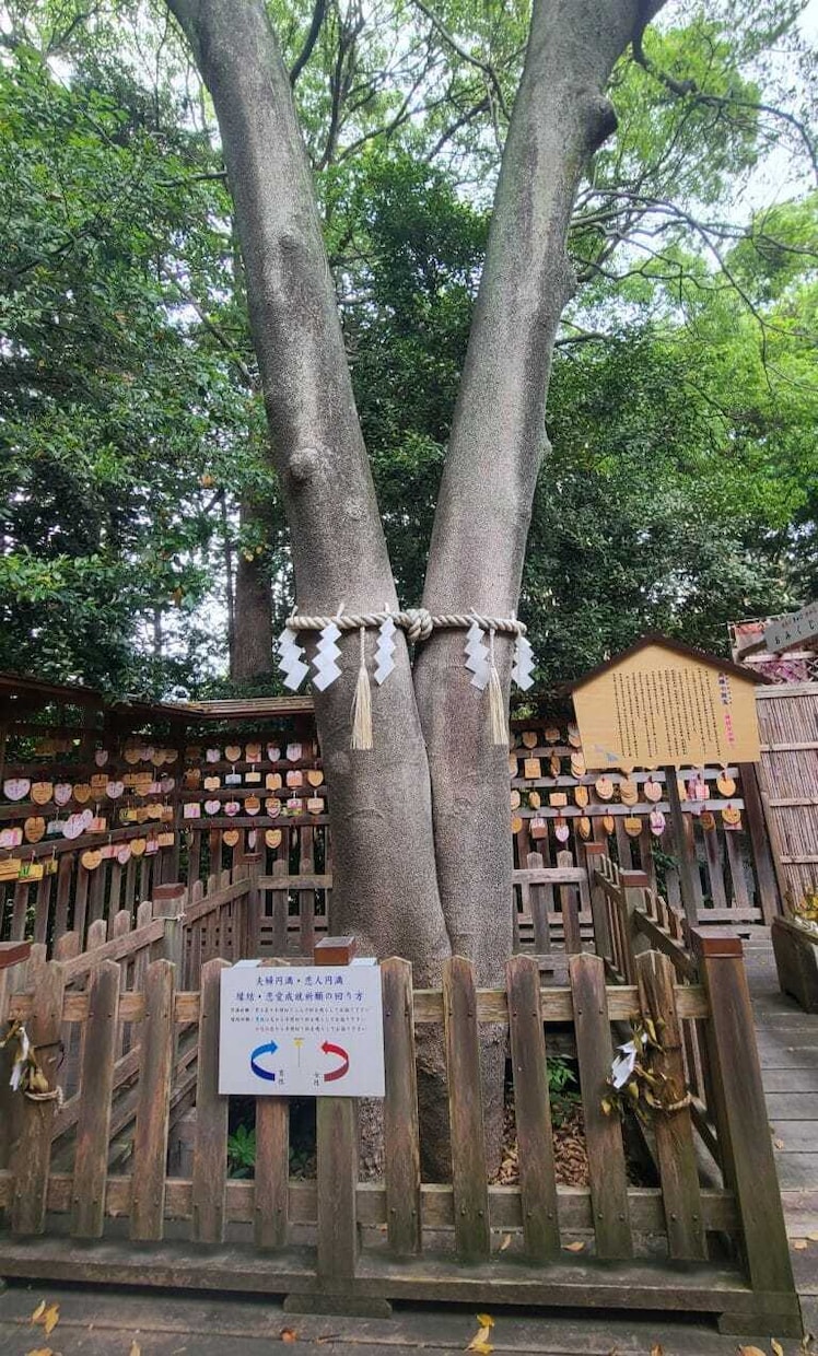 お申し込みからの即日合同祈願(御結)します 個別よりも安価でありながら、強く結んでいくご祈願となります。 イメージ2