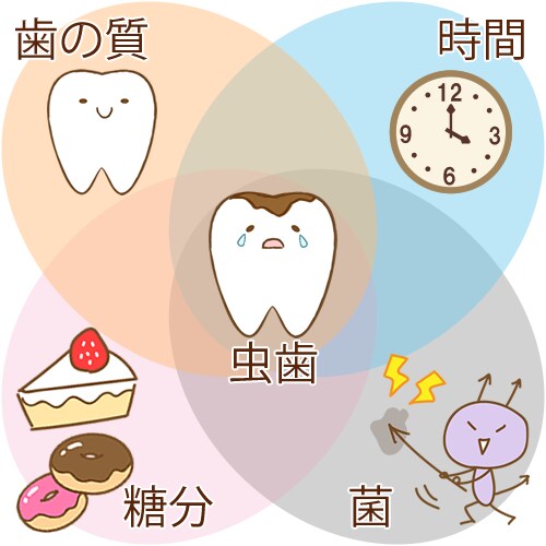 お口の中の相談（虫歯や歯周病など）何でも承ります 歯医者でなかなか聞けない質問なんでもお気軽にどうぞ！ イメージ2