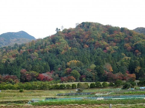「田舎暮らし」を検討している方へ、後悔しない為の確認事項を女性目線でお教えします。 イメージ1