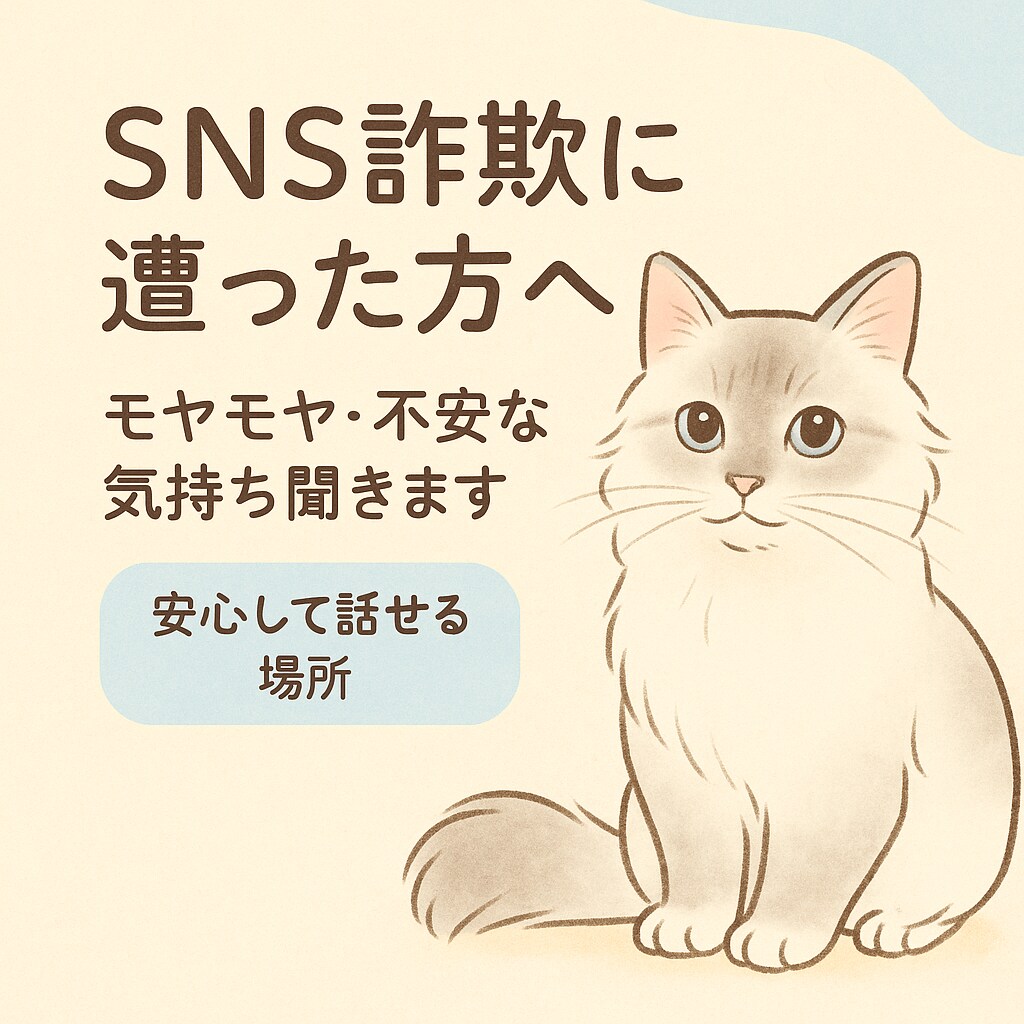 SNS詐欺に遭った方へ◎相談、愚痴聞きます 騙された辛さ誰にも言えない気持ち全部吐き出してOKです イメージ1