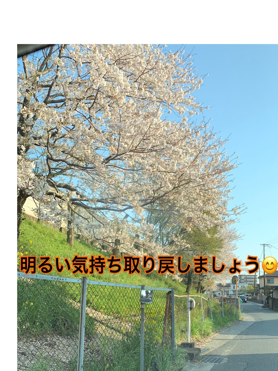 ヂャンル問わず…ちょっとした愚痴聞きます その心のモヤモヤ吹き飛ばしましょう!! イメージ1
