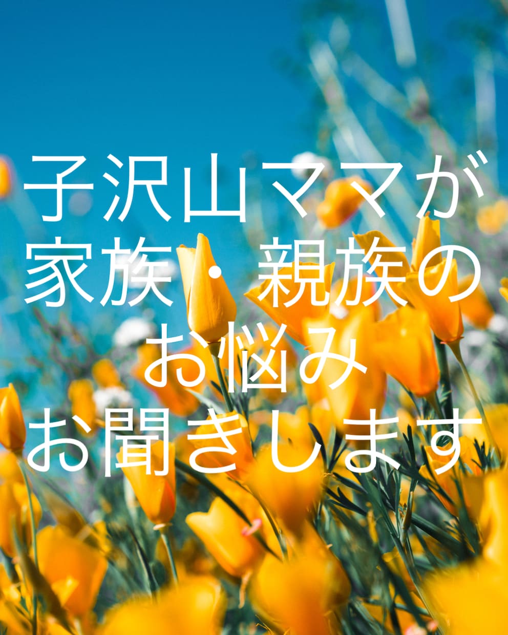 子沢山ママが家族・親族のお悩みお聞きします 子沢山ママが家族のお悩みお聞きいたします！お待ちしております イメージ1