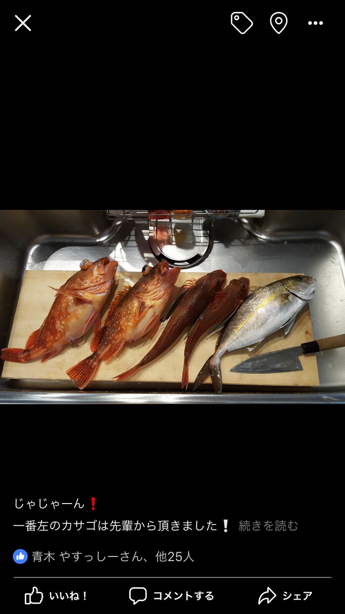 熱海、伊東周辺の釣りをガイドします お一人様からファミリーまで、全て対応させて頂きます イメージ6