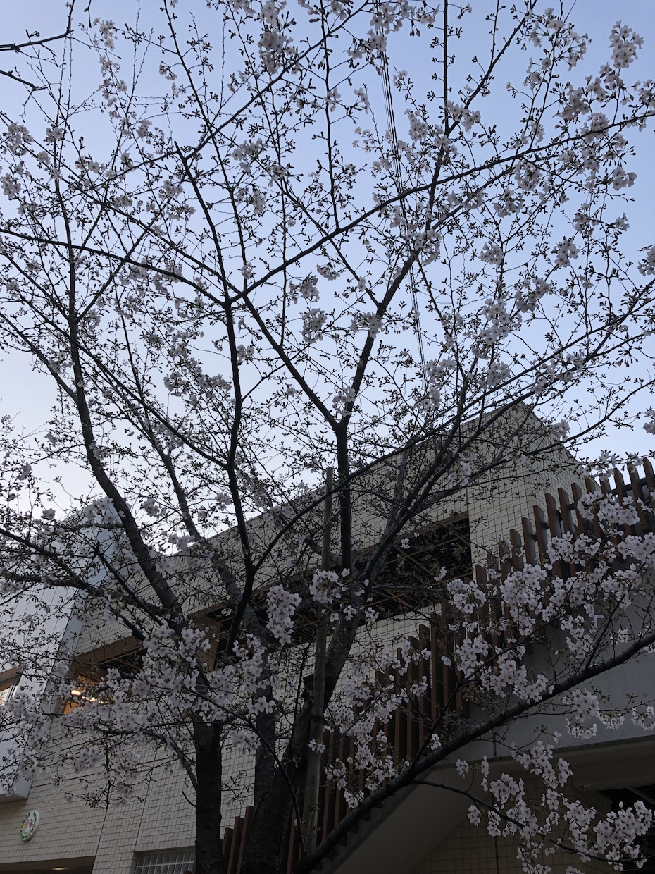 お相手の気持ち早急に回答します もやもやした気持ちをスッキリさせましょう イメージ1
