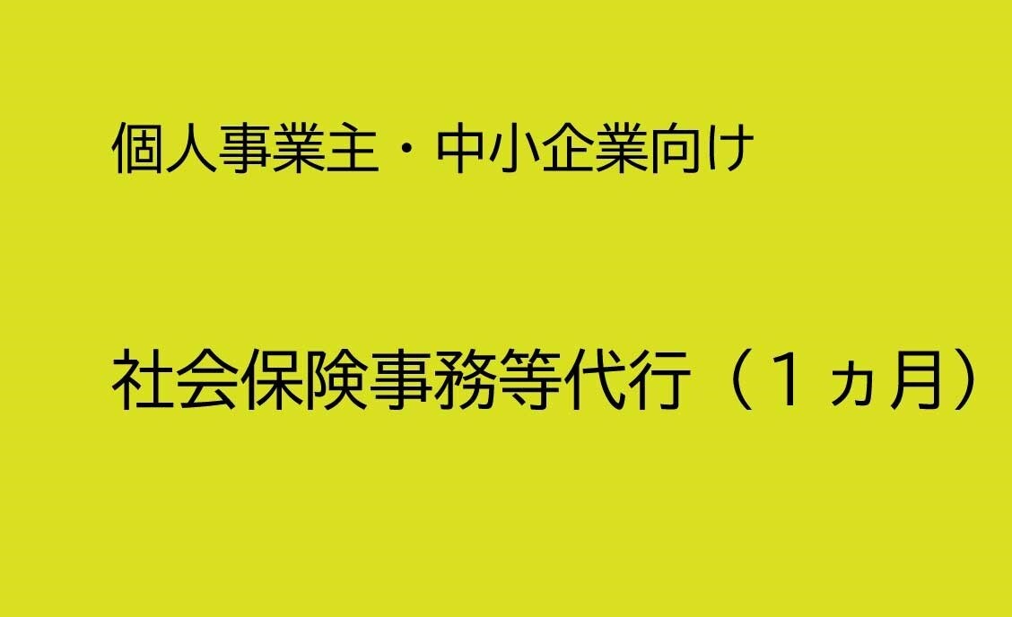 社会保険事務等代行（1か月）承ります 社会保険・雇用保険の資格取得および喪失の手続き代行いたします イメージ1
