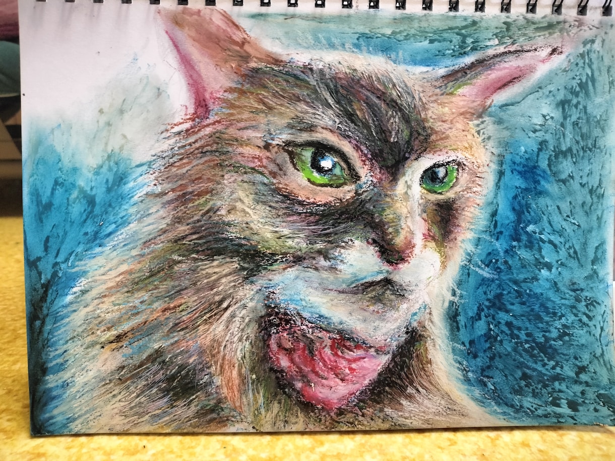 猫ちゃんをクレヨン、色鉛筆、水彩絵の具で描きます 雰囲気に合せた画材を使いA4の紙に描き額に入れて郵送します
