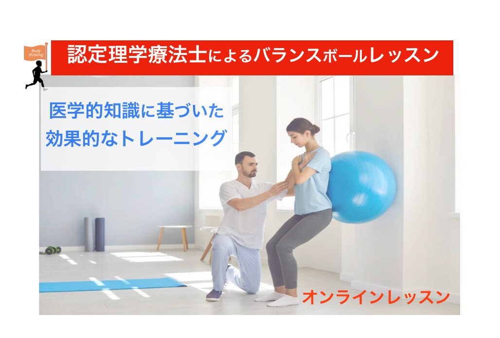 理学療法士（国家資格）がバランスボール運動をします リハビリ視点からタイプや目的に合わせた個別運動プログラム イメージ1