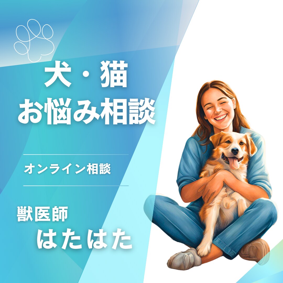 現役獣医師が、ペットのお悩み相談をお受けします 抱え込まず、気軽に質問してみませんか？ イメージ1